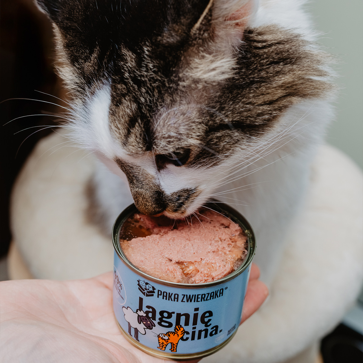 Karma mokra dla kota PAKA ZWIERZAKA jagnięcina 200 g