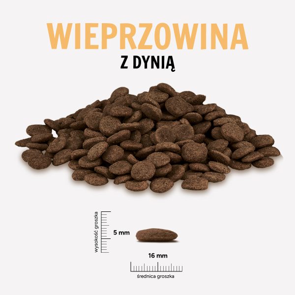 Karma sucha dla psa PAKA ZWIERZAKA wieprzowina z dynią L 1,5 kg