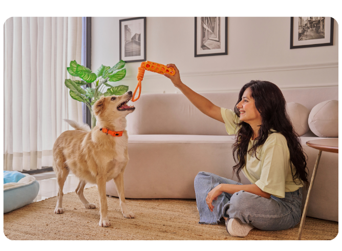 karma sucha i mokra Projekt bez nazwy 13 edited