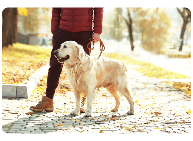 karma sucha i mokra Projekt bez nazwy 7 edited