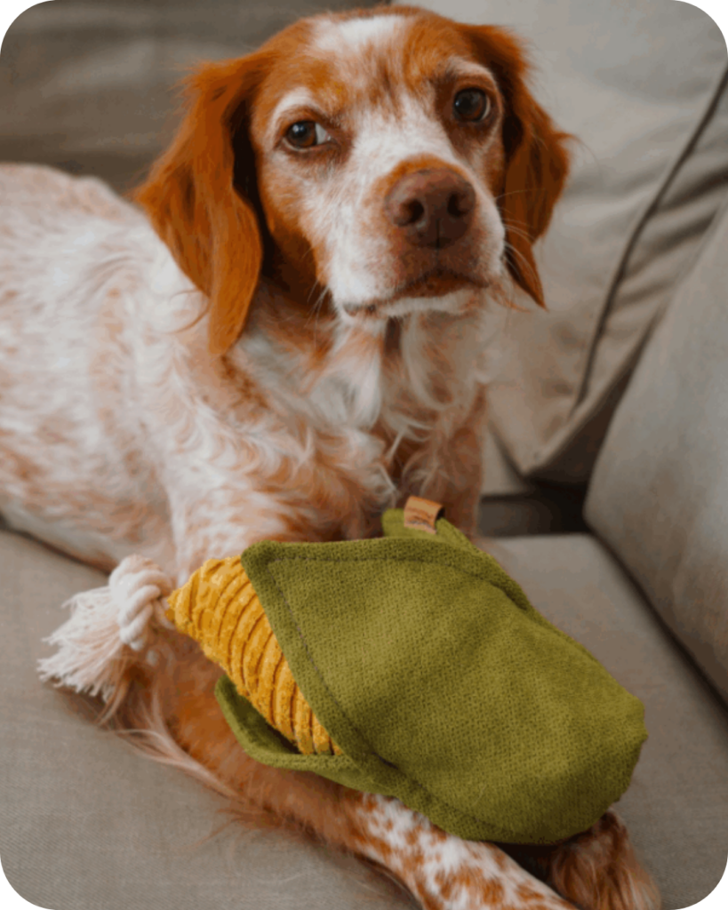 karma sucha i mokra Projekt bez nazwy 19