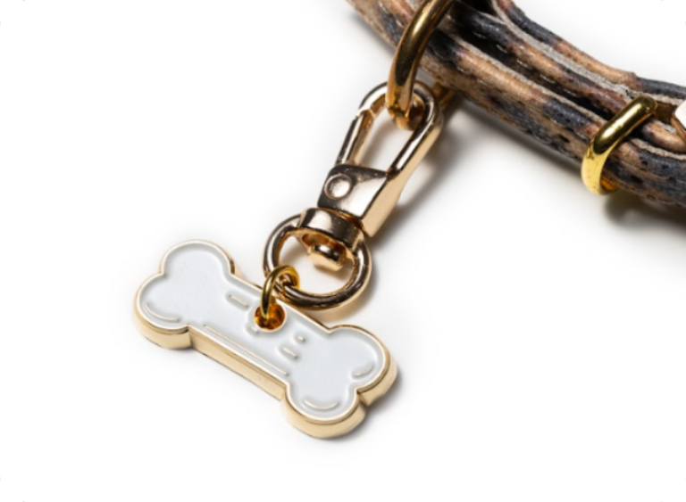 karma sucha i mokra adresowka kosc 2