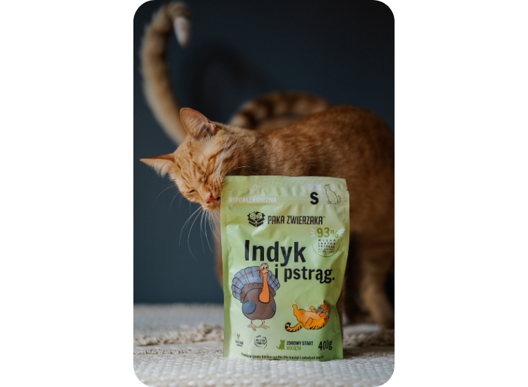 karma sucha i mokra karma dla kota 5.jpg