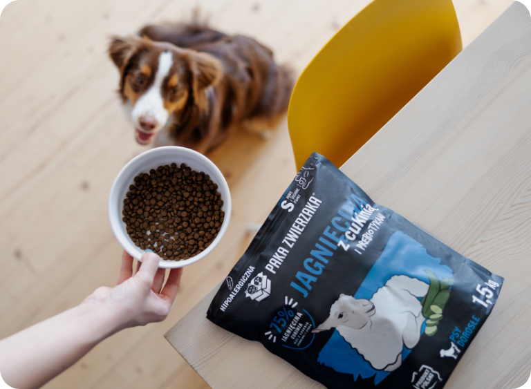 Jak wybrać najlepszą karmę dla psa? Kompleksowy przewodnik żywieniowy