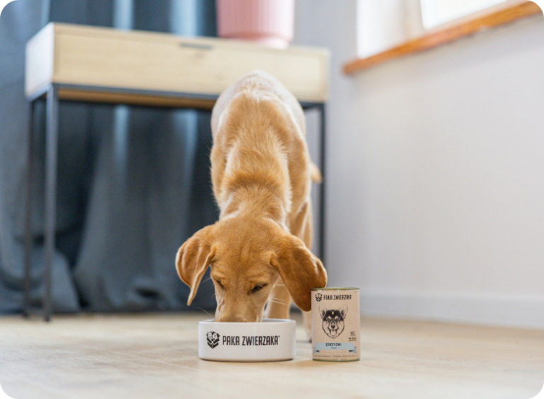 karma sucha i mokra karma hipoalergiczna dla psa 2.jpg