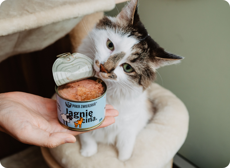 karma sucha i mokra karma mokra dla kota 4.jpg