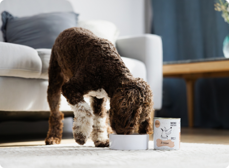 karma sucha i mokra karma monoproteinowa dla psa 12.jpg