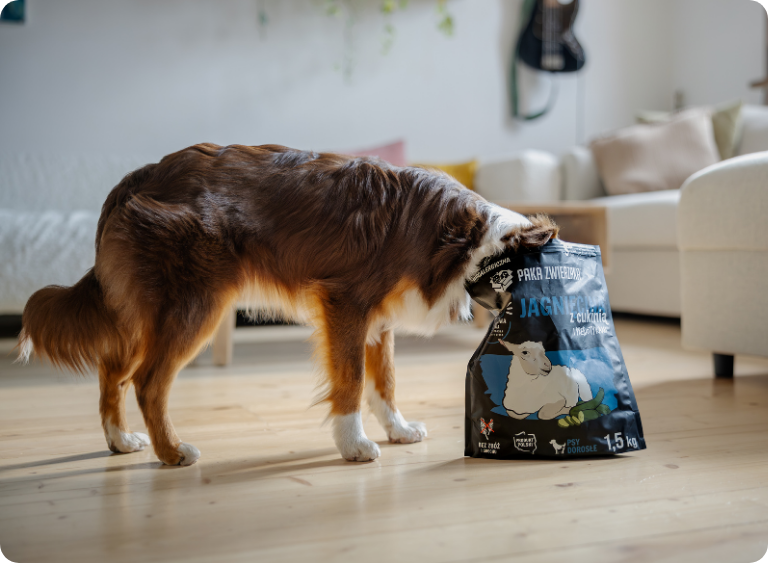 karma sucha i mokra karmy dla psow 10.jpg