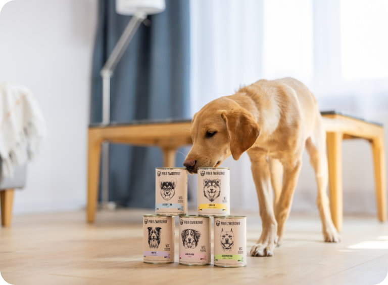 Karma dla szczeniaka – jaką wybrać na start?