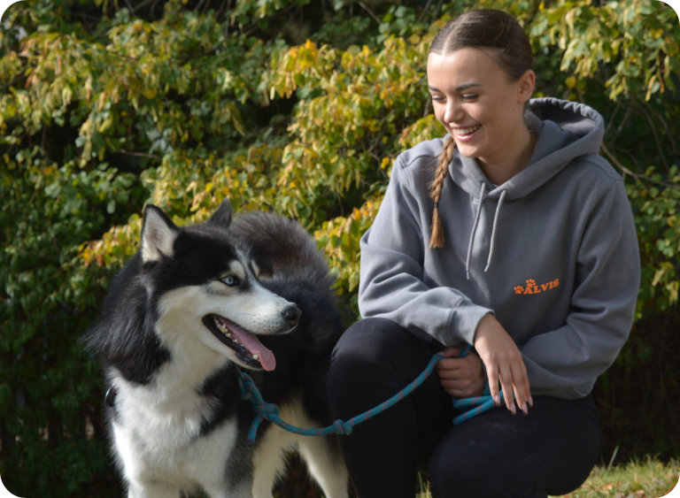 5 rzeczy, które wyróżniają markę Alvis