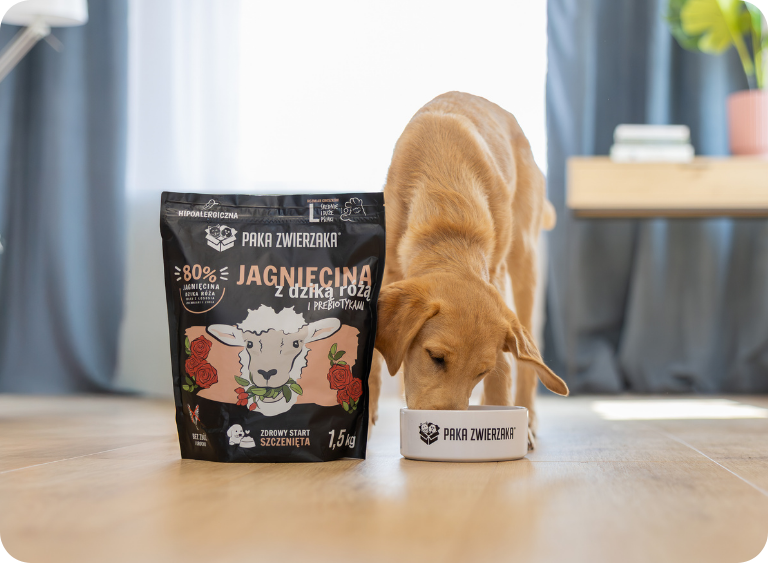 karma sucha i mokra sucha karma dla szczeniaka 5.jpg