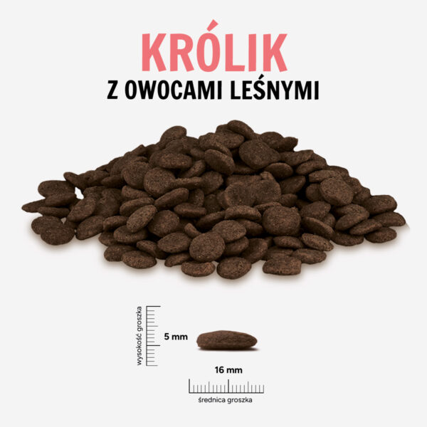 Karma sucha dla psa PAKA ZWIERZAKA Królik z owocami leśnymi L 3 kg