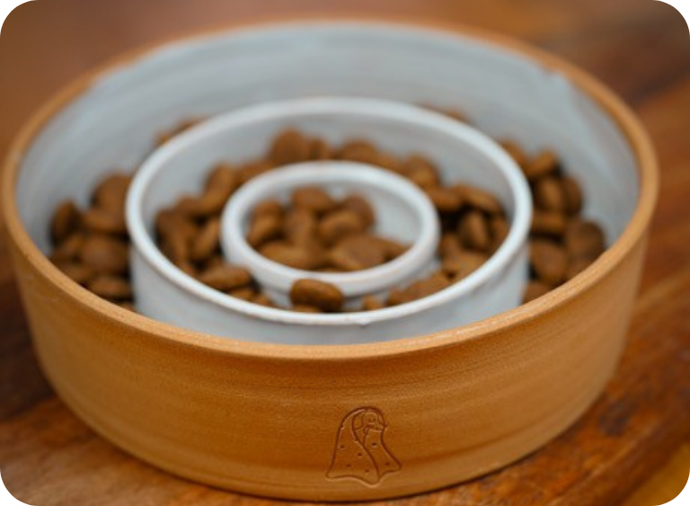 Jak pomóc psu, który ma tendencję do łapczywego jedzenia? Sprawdzony sposób dla opiekunów