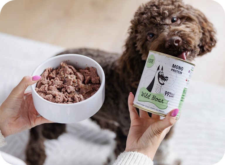 karma sucha i mokra hipoalergiczne karma dla psa 543.jpg