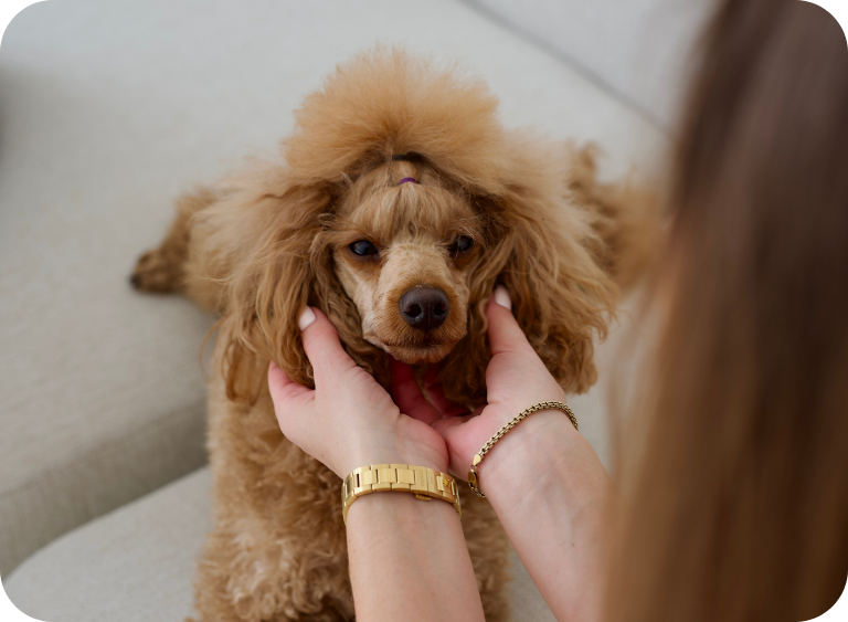 karma sucha i mokra hipoalergiczne karmy dla psow 62729.jpg