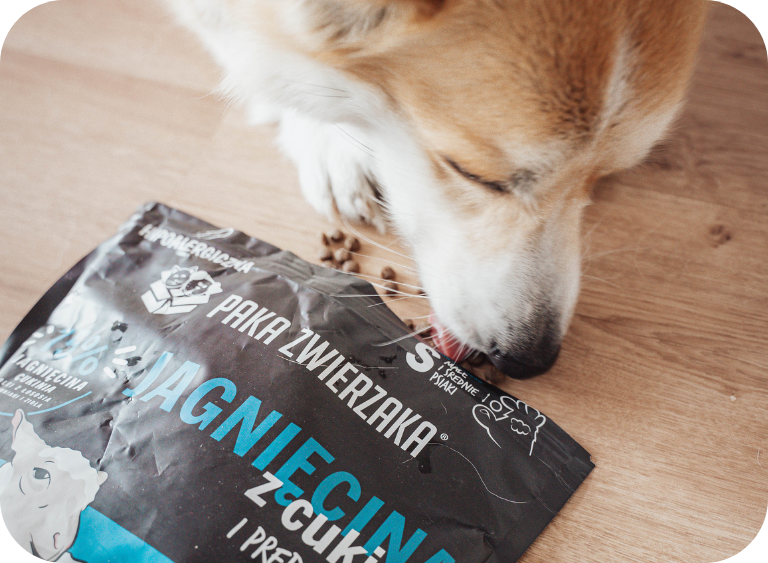 karma sucha i mokra hypoalergiczne karma mokra dla psa 7162.jpg