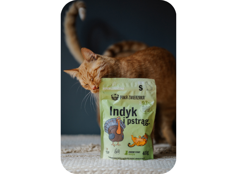 karma sucha i mokra karma dla kociat