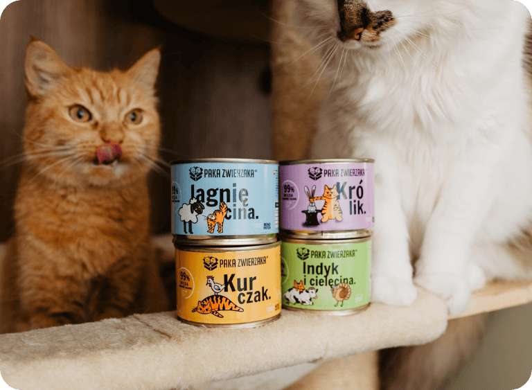 karma sucha i mokra karma dla kota 3.jpg