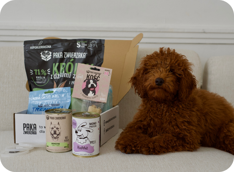 karma sucha i mokra karma dla psa 345678.jpg