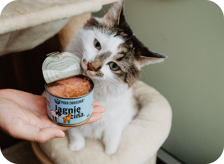 karma sucha i mokra karma mokra dla kotow 8.jpg