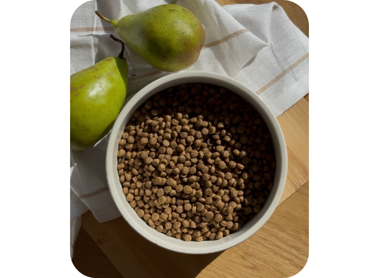 karma sucha i mokra karma sucha dla psow 345678