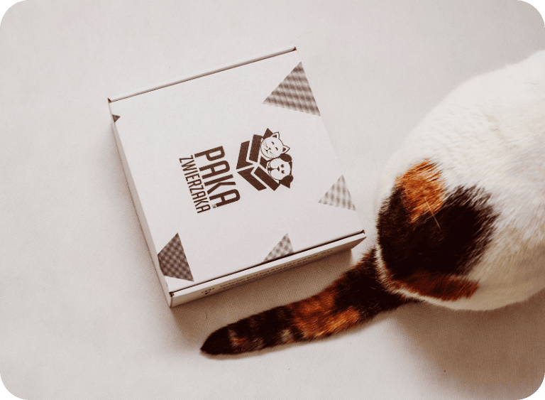 karma sucha i mokra karmy dla kociat 5.jpg