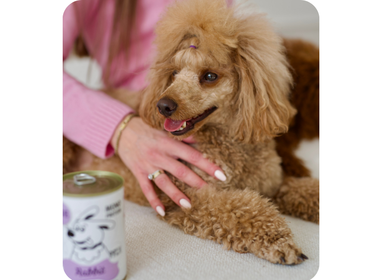 karma sucha i mokra karmy mokre dla psa 345.jpg