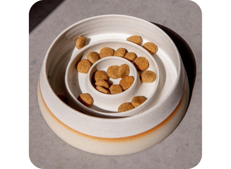 karma sucha i mokra miska ceramiczna