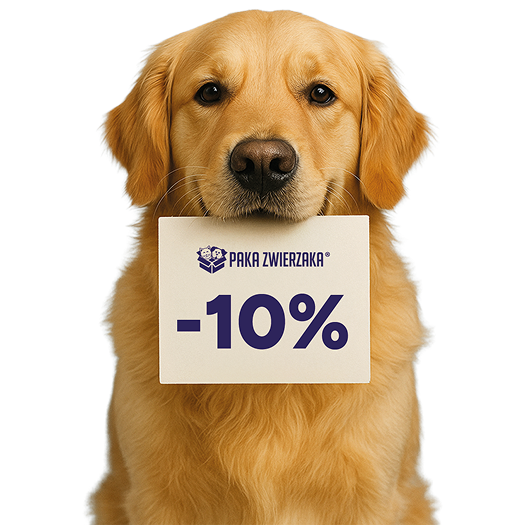 karma sucha i mokra newsletter piesek 2