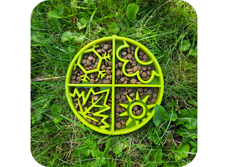 karma sucha i mokra sucha karma dla psa