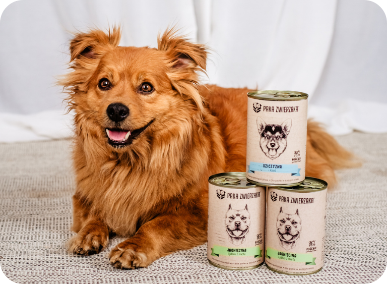 karma sucha i mokra sucha karma dla psa 7826.jpg