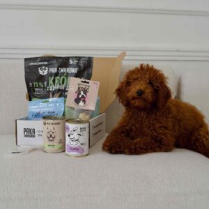 Wyprawka dla szczeniaka PAKA ZWIERZAKA