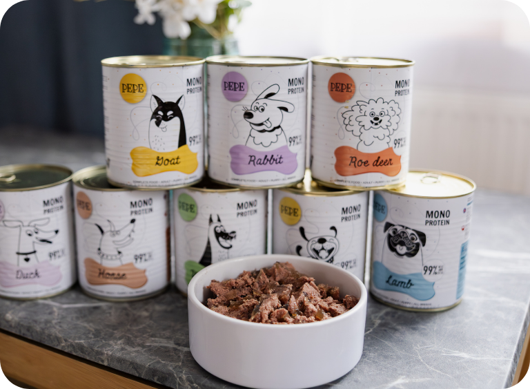 karma sucha i mokra karma dla psa