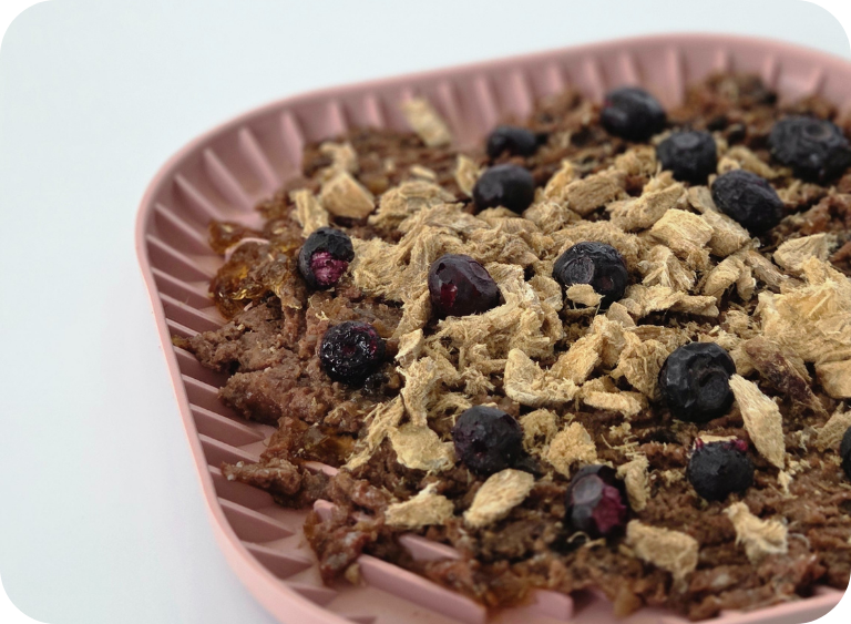 karma sucha i mokra karma dla psa 1.jpg