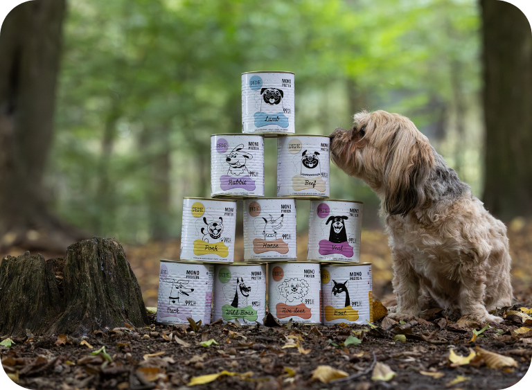 Mokra karma dla psa – jaka najlepsza?