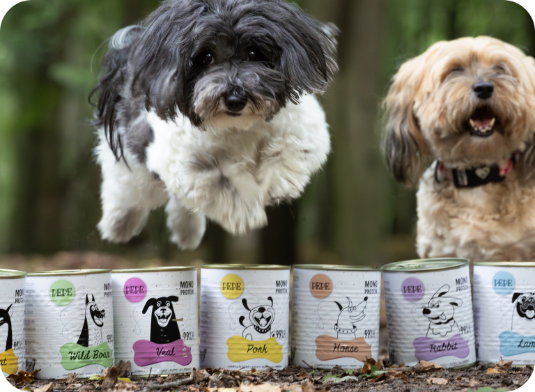 karma sucha i mokra mokre karmy 456.jpg