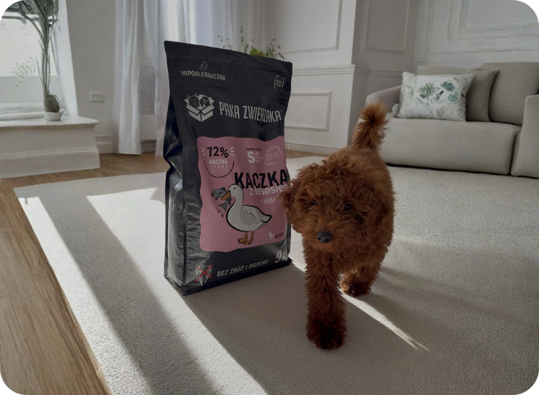 Karma dla psa 9 kg – czy większe opakowanie się opłaca?