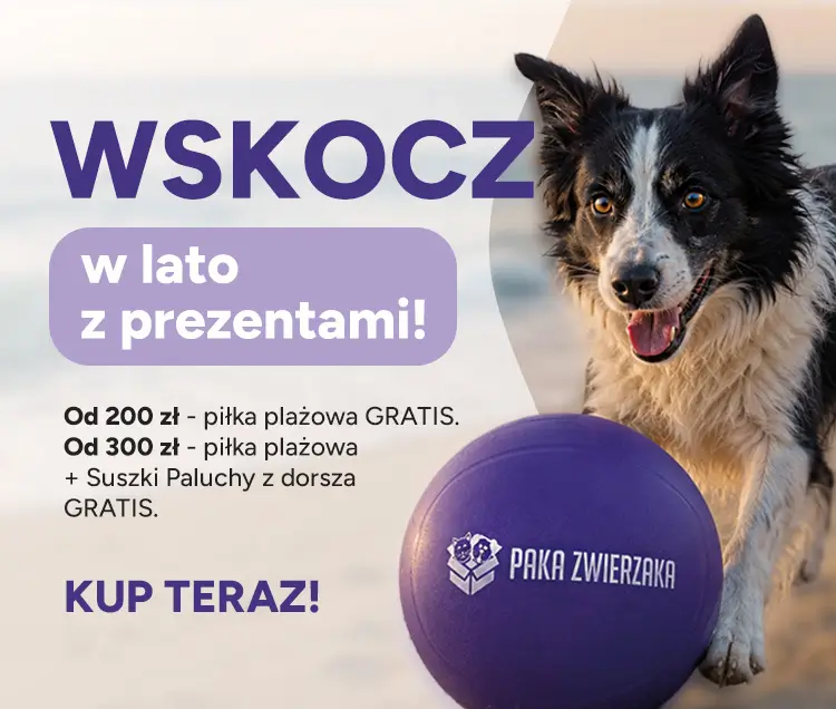 Wskocz w lato z prezentami | Paka zwierzaka