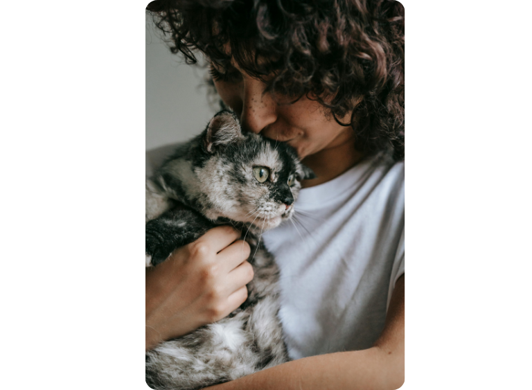 karma sucha i mokra petsitter alvis