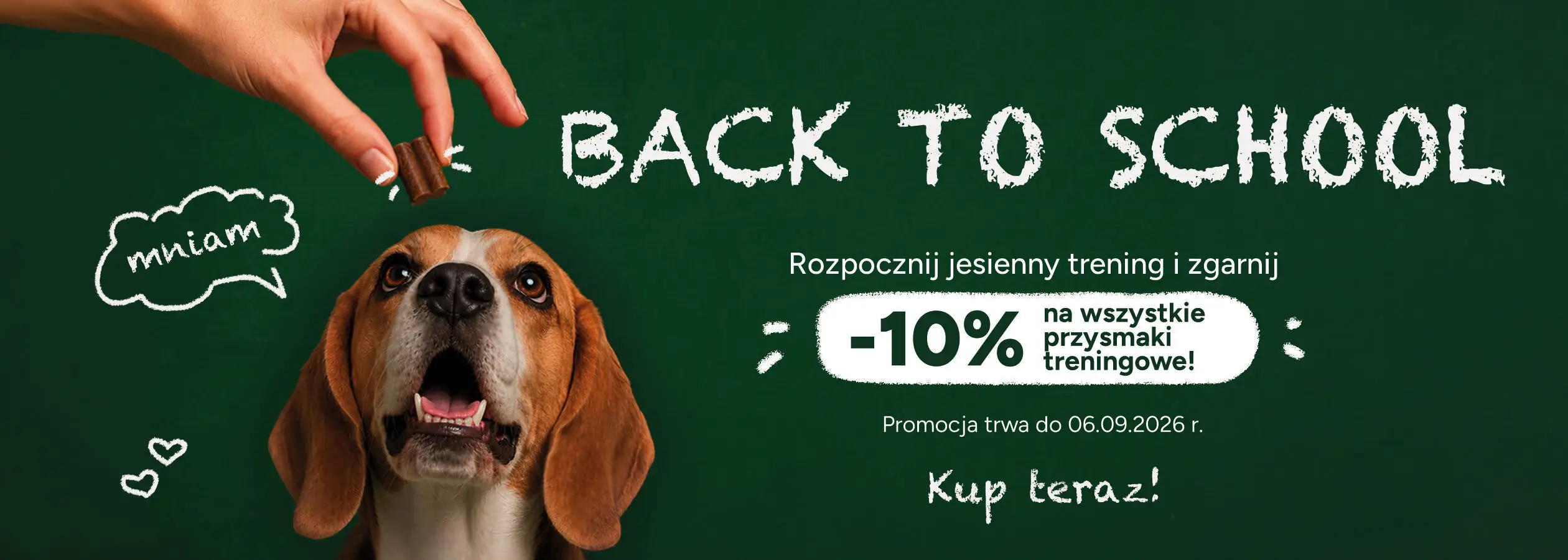 karma sucha i mokra back to school desktop
