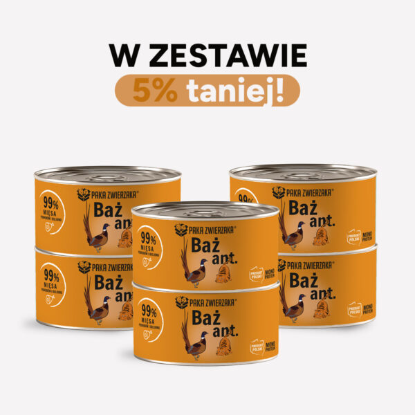 ZESTAW Karma mokra dla kota PAKA ZWIERZAKA bażant 200g x 6 szt.